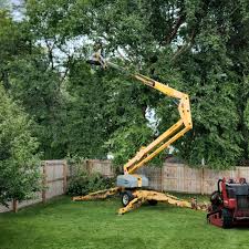 Why Choose Our Tree Removal Services in Tatum, TX?